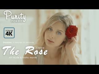 clarice - the rose