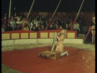 sex fair (1973) ap